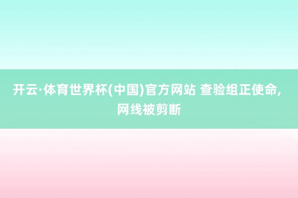 开云·体育世界杯(中国)官方网站 查验组正使命, 网线被剪断