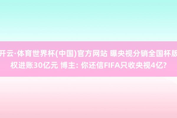 开云·体育世界杯(中国)官方网站 曝央视分销全国杯版权进账30亿元 博主: 你还信FIFA只收央视4亿?