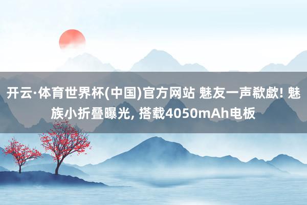 开云·体育世界杯(中国)官方网站 魅友一声欷歔! 魅族小折叠曝光, 搭载4050mAh电板