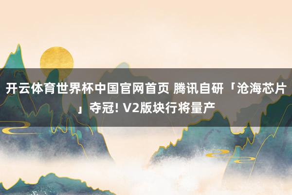 开云体育世界杯中国官网首页 腾讯自研「沧海芯片」夺冠! V2版块行将量产