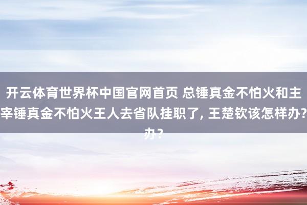 开云体育世界杯中国官网首页 总锤真金不怕火和主宰锤真金不怕火王人去省队挂职了, 王楚钦该怎样办?