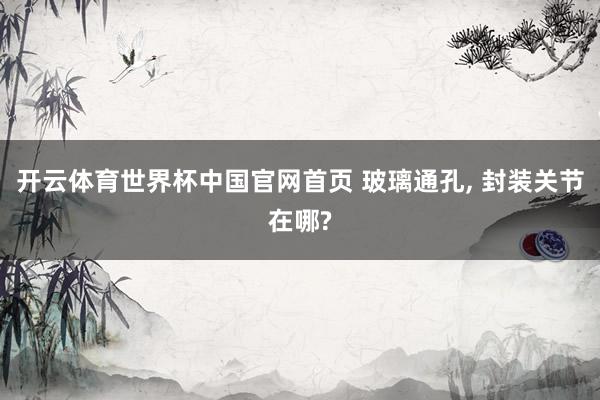 开云体育世界杯中国官网首页 玻璃通孔, 封装关节在哪?