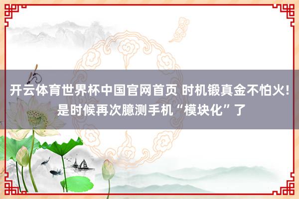 开云体育世界杯中国官网首页 时机锻真金不怕火! 是时候再次臆测手机“模块化”了