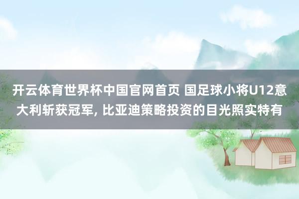 开云体育世界杯中国官网首页 国足球小将U12意大利斩获冠军， 比亚迪策略投资的目光照实特有