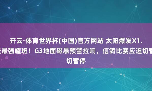 开云·体育世界杯(中国)官方网站 太阳爆发X1.0级最强耀斑！G3地面磁暴预警拉响，信鸽比赛应迫切暂停