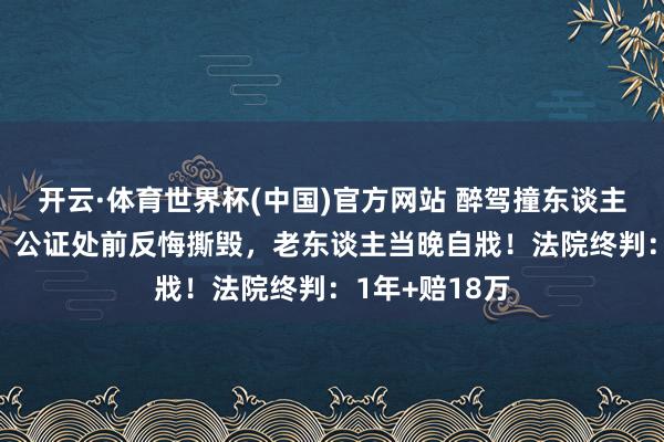 开云·体育世界杯(中国)官方网站 醉驾撞东谈主左券赔28万，公证处前反悔撕毁，老东谈主当晚自戕！法院终判：1年+赔18万