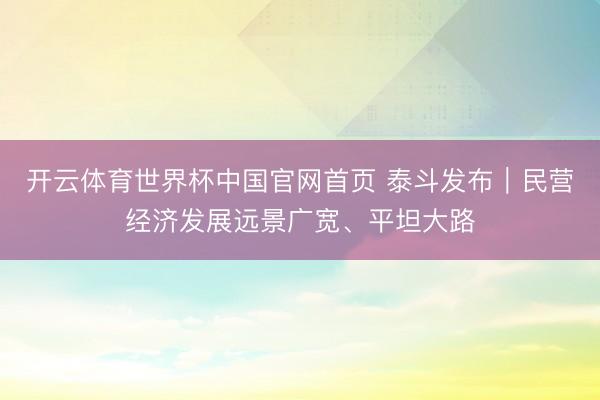 开云体育世界杯中国官网首页 泰斗发布｜民营经济发展远景广宽、平坦大路