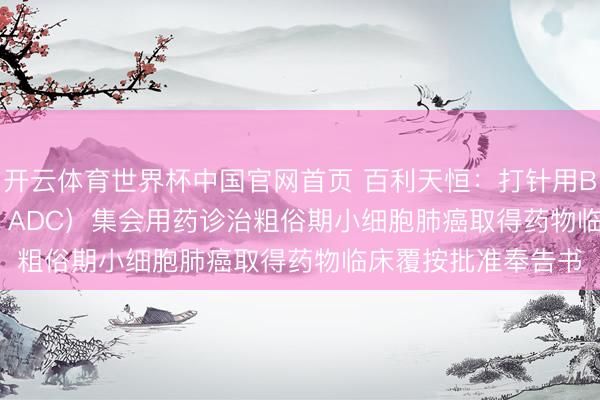 开云体育世界杯中国官网首页 百利天恒：打针用BL-M14D1（DLL3 ADC）集会用药诊治粗俗期小细胞肺癌取得药物临床覆按批准奉告书